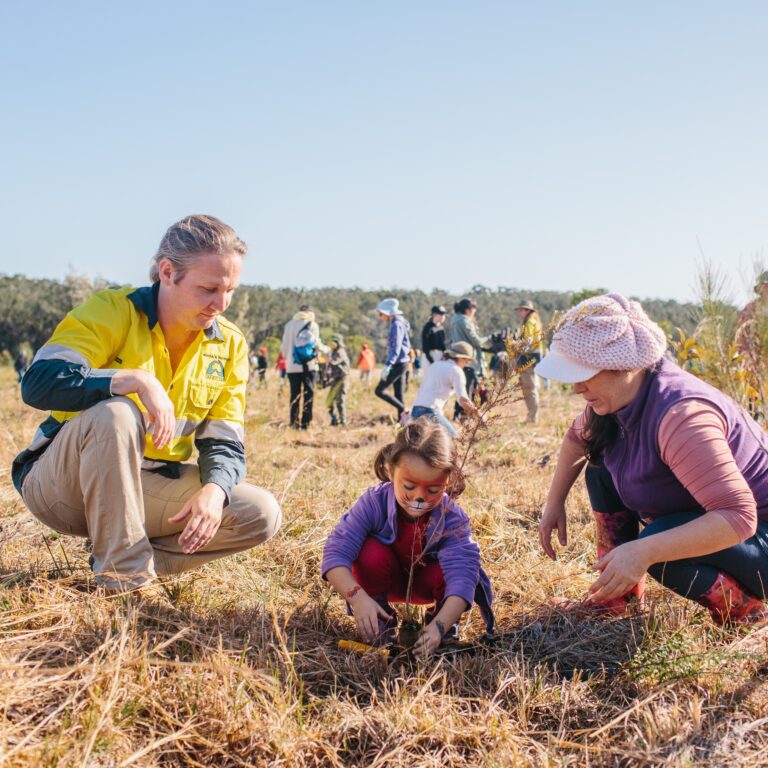 Noosa Landcare community planting event.