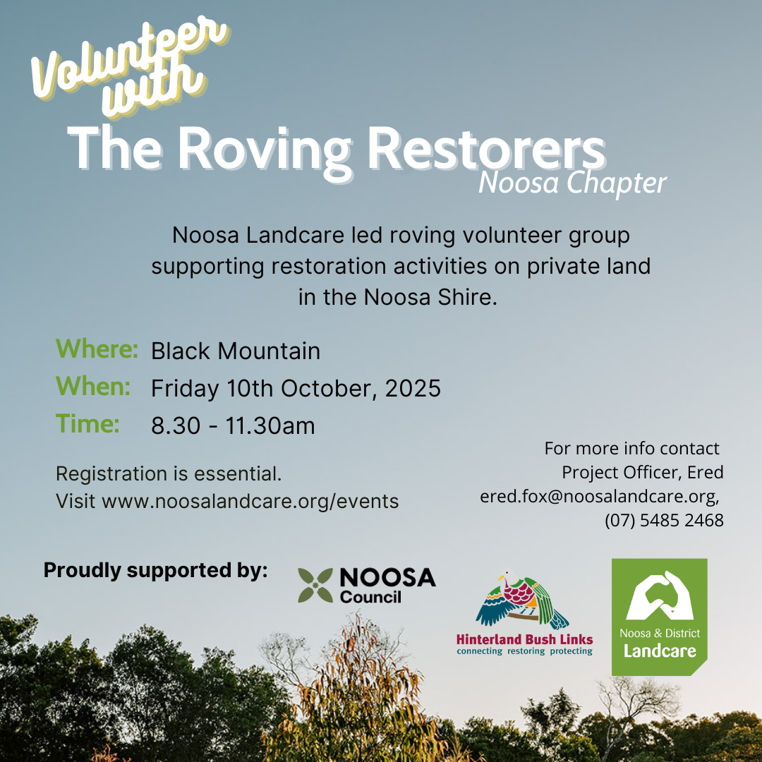 The Roving Restorers, Noosa Chapter, Working Bee at Black Mountain on 10th October