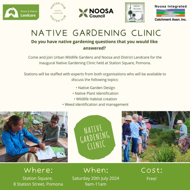 Native Garden Clinic 2024 Flyer