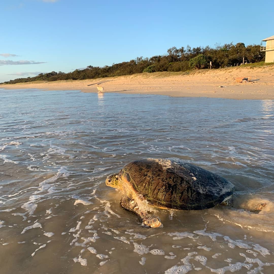 480295905_9892450407451519_7291244133827758861_n