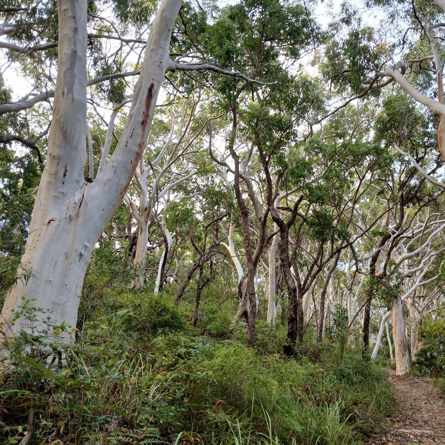 484024765_631322986304475_7329100571653059508_n