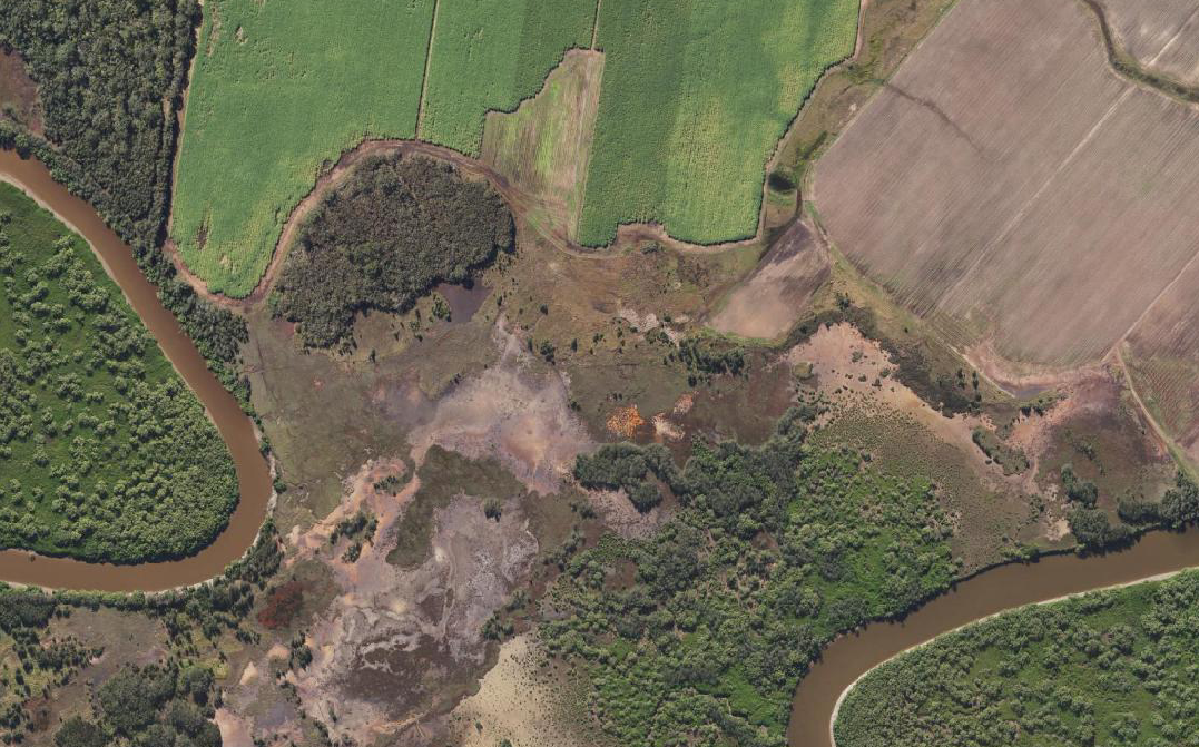 Agriculture encroachment into wetland – Susan River