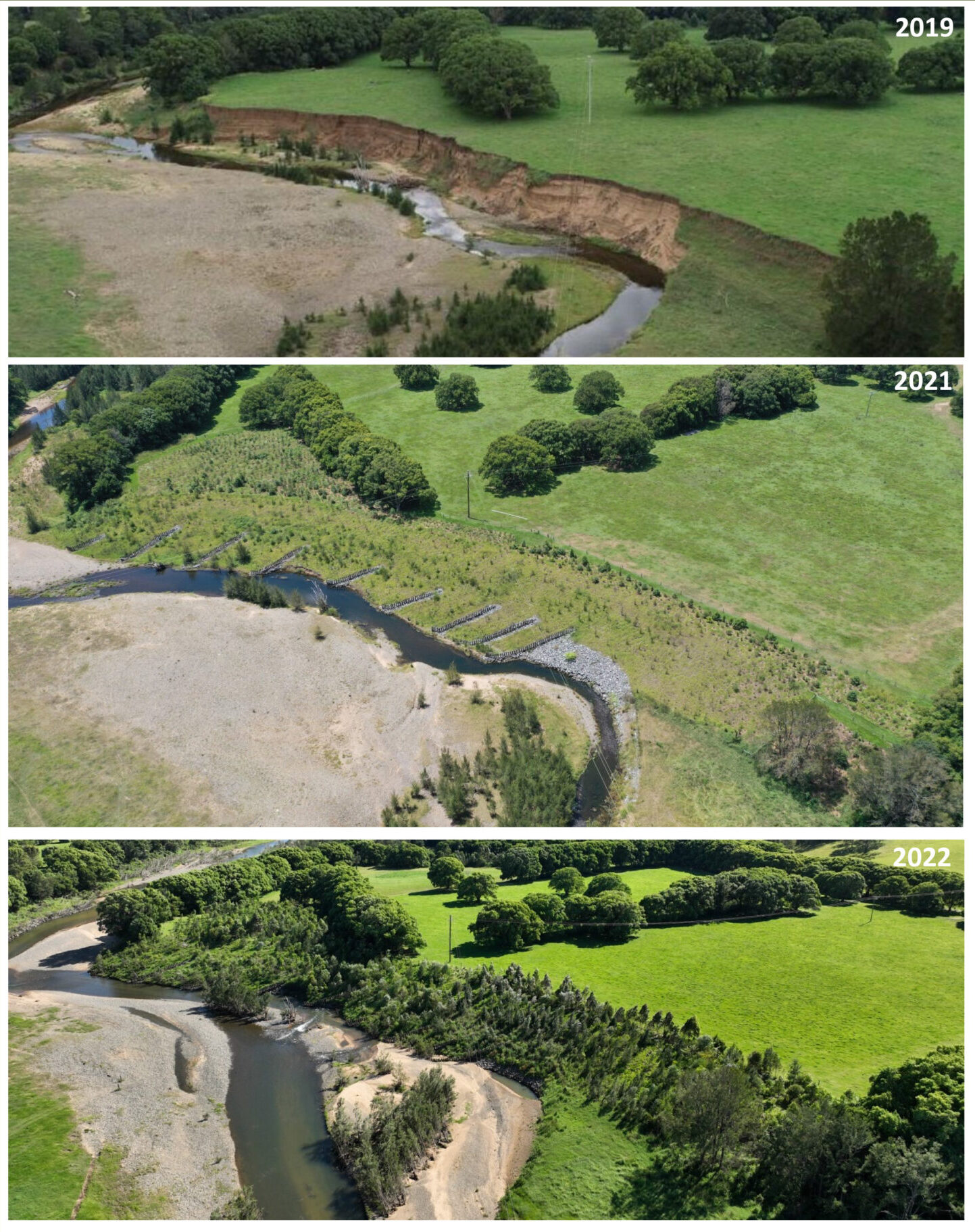 Carter-site-2019-2022-1449×2048