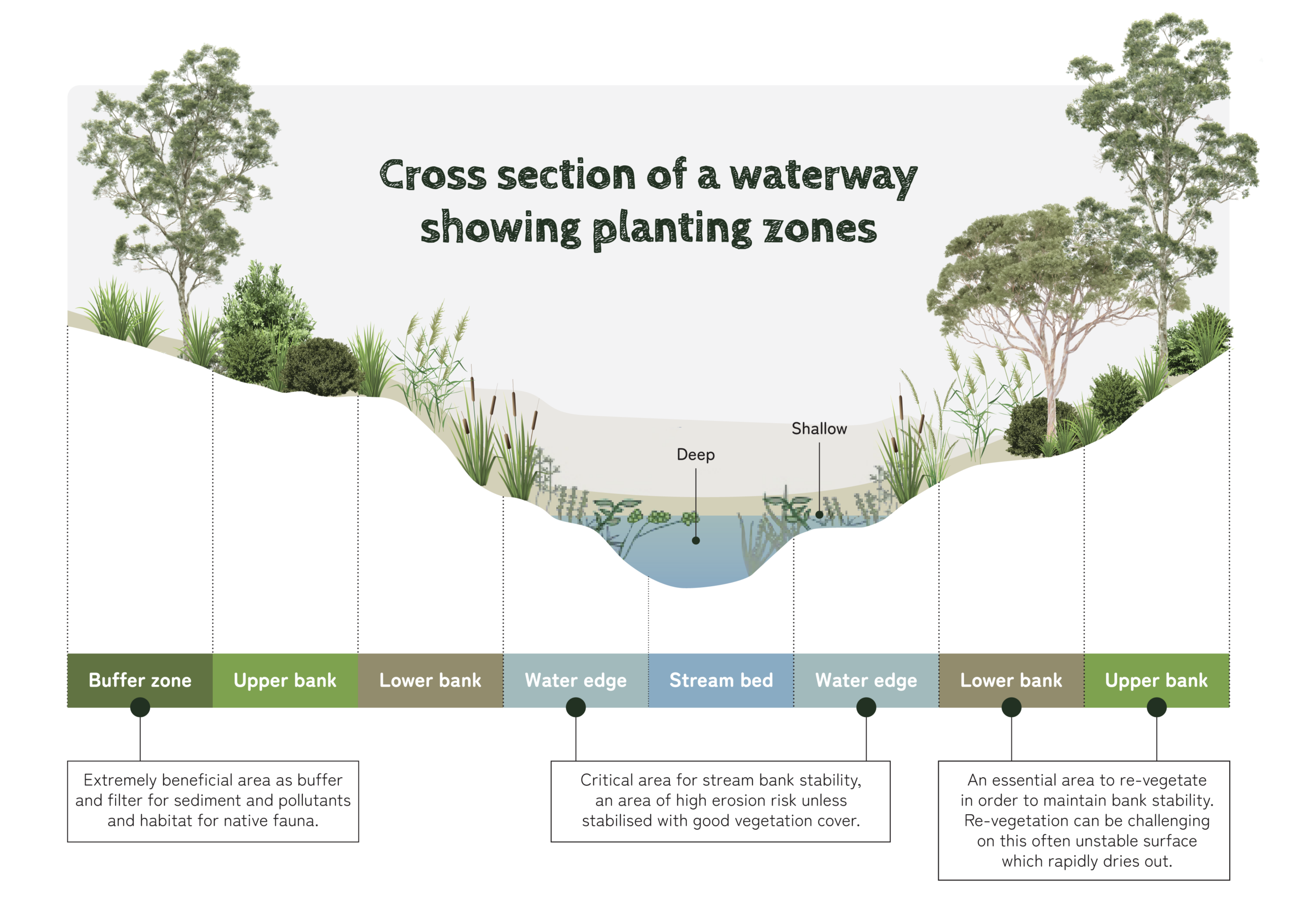 Cross section of a waterway