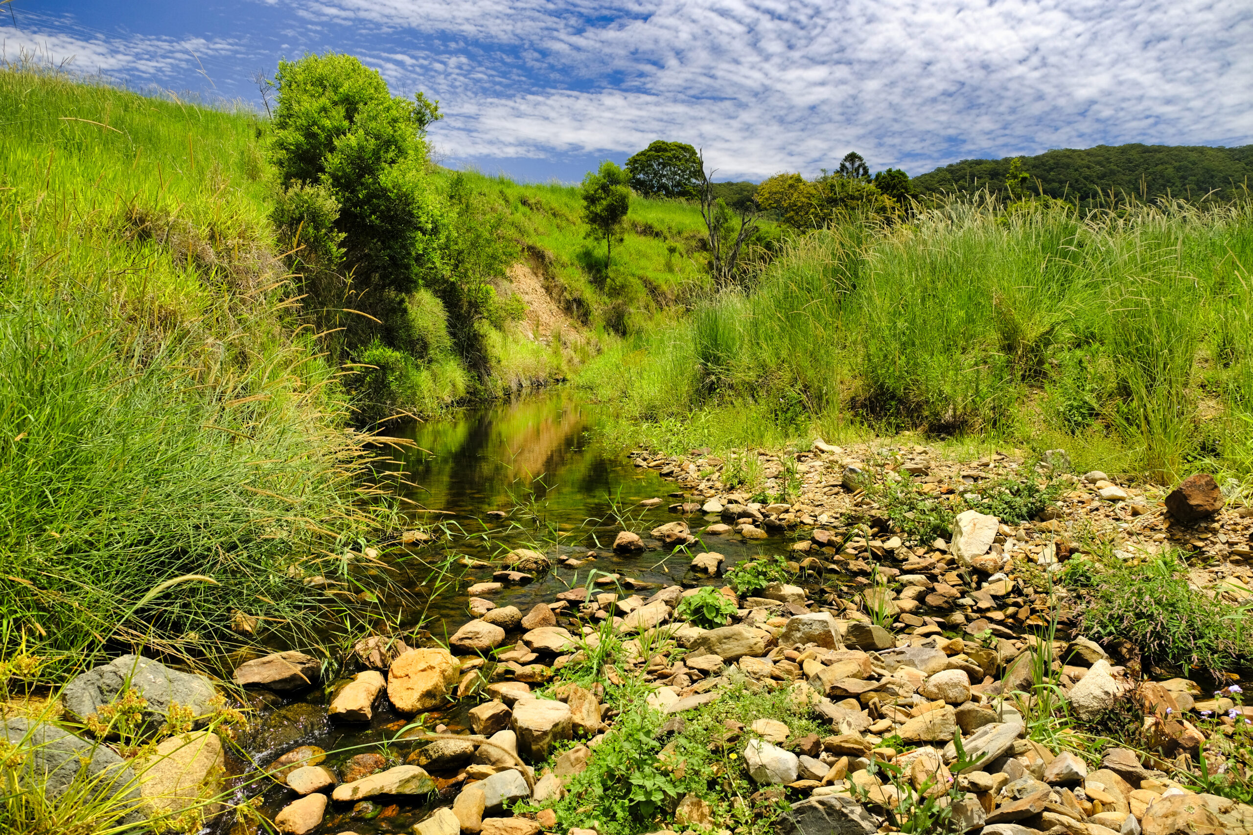 Poor condition waterway Poor condition waterway