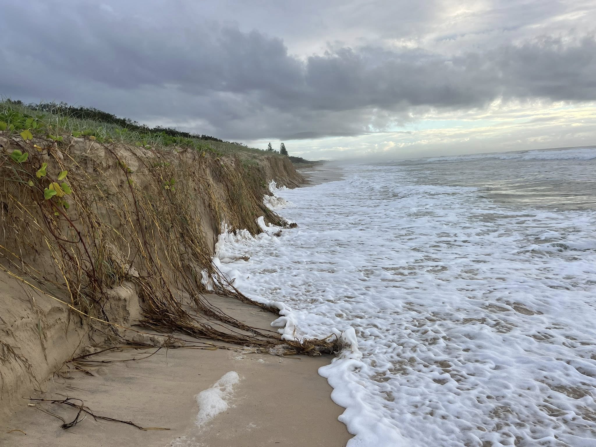 Dune erosion – Sharyn Kerrigan