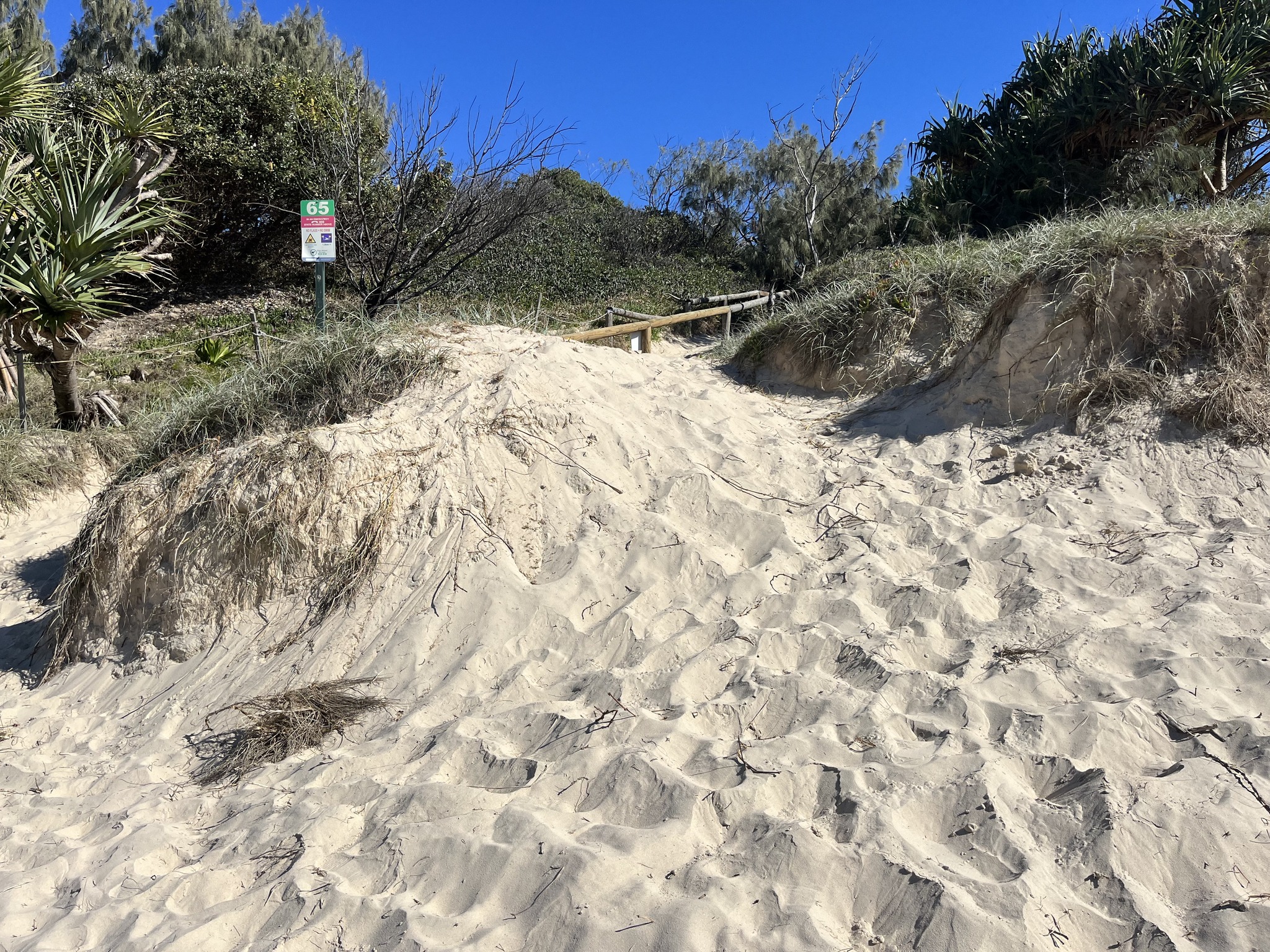 Dune trampling – Human induced – Sharyn Kerrigan