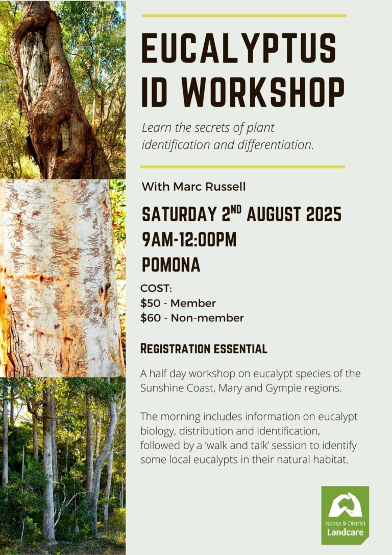 Eucalyptus identification workshop - Saturday 2nd August 2025