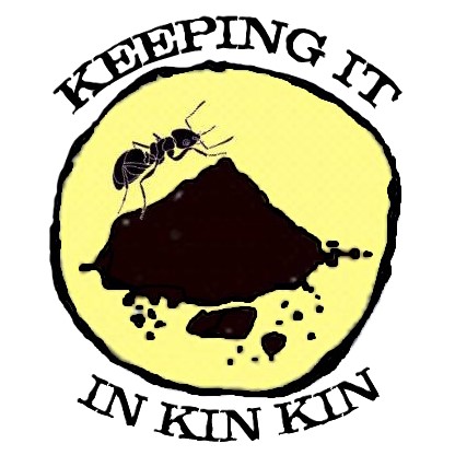 KEEPING IT IN KIN KN LOGO