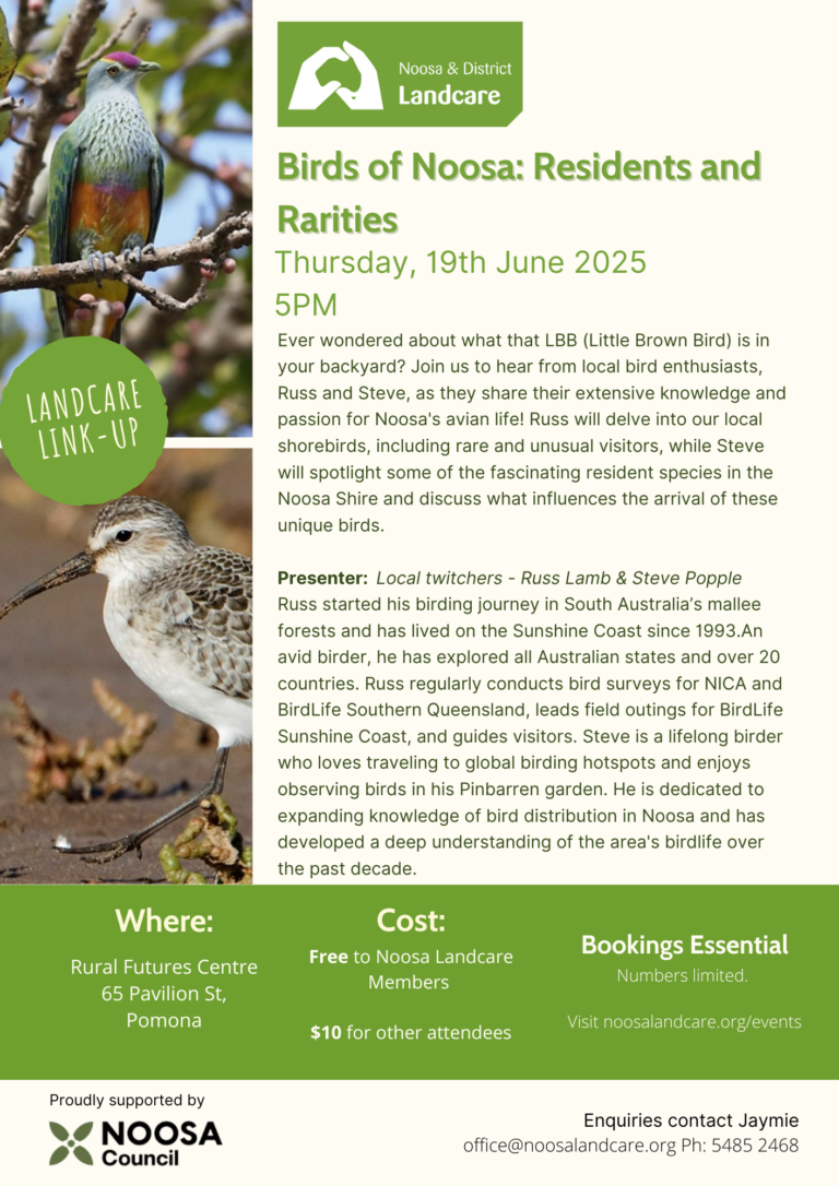 June Landcare Linkup: Birds of Noosa: Residents and Rarities