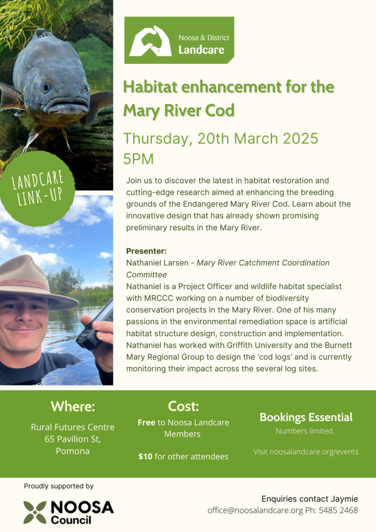 March Landcare Linkup 2025 - Mary River Cod habitat enhancement. 