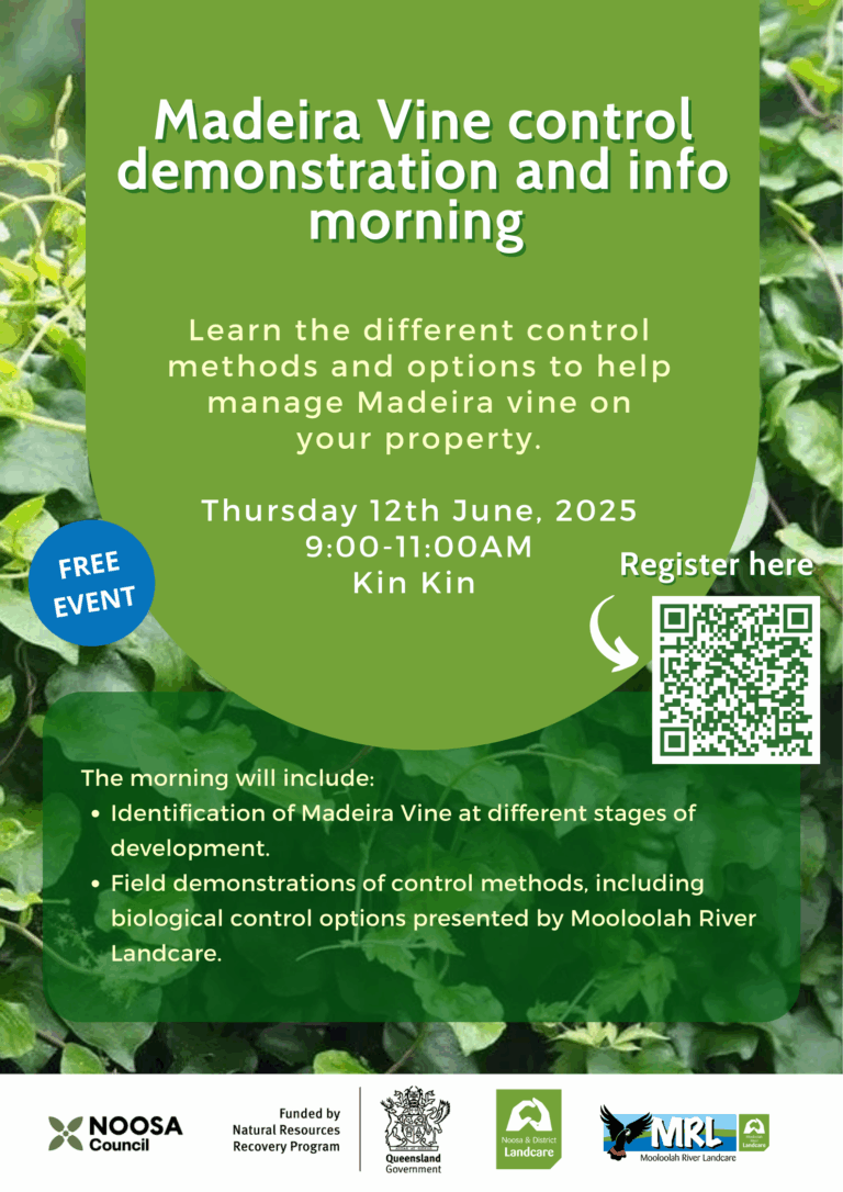 Madeira Field Day 12th Jun 2025