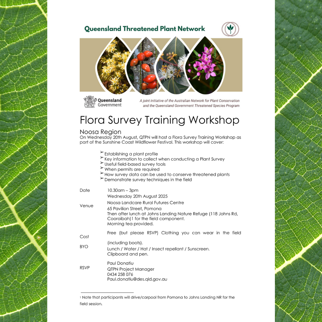 Flora Survey Training Workshop hosted by Queensland Threatened Plant Network.
10:30am - 3pm Wednesday 20th August 2025
At Noosa Landcare Rural Futures Centre
65 Pavilion Street, Pomona