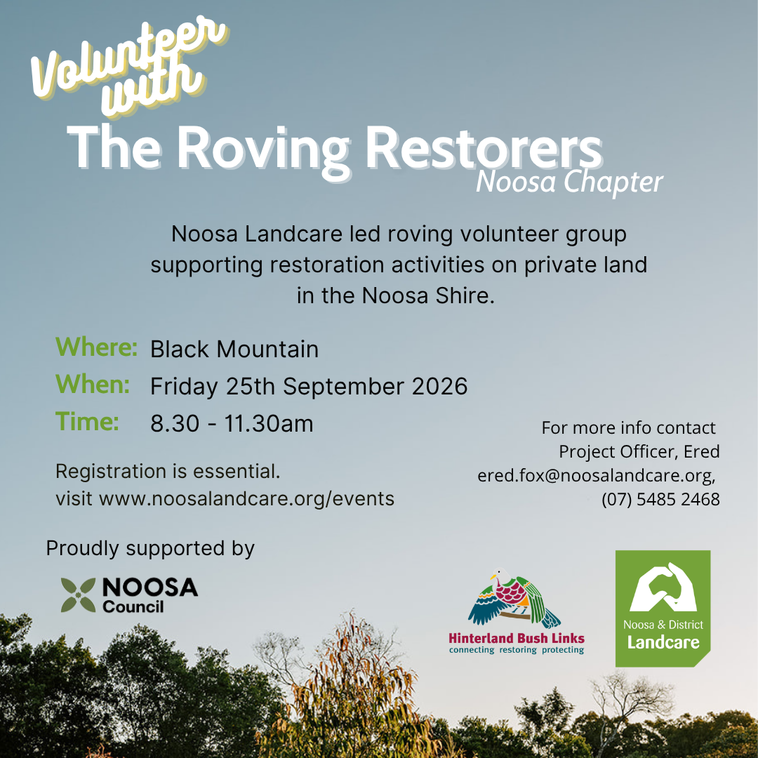 Roving Restorers Working Bee. Friday 25th September 2026 at Black Mountain. 8:30am until 11:30am.