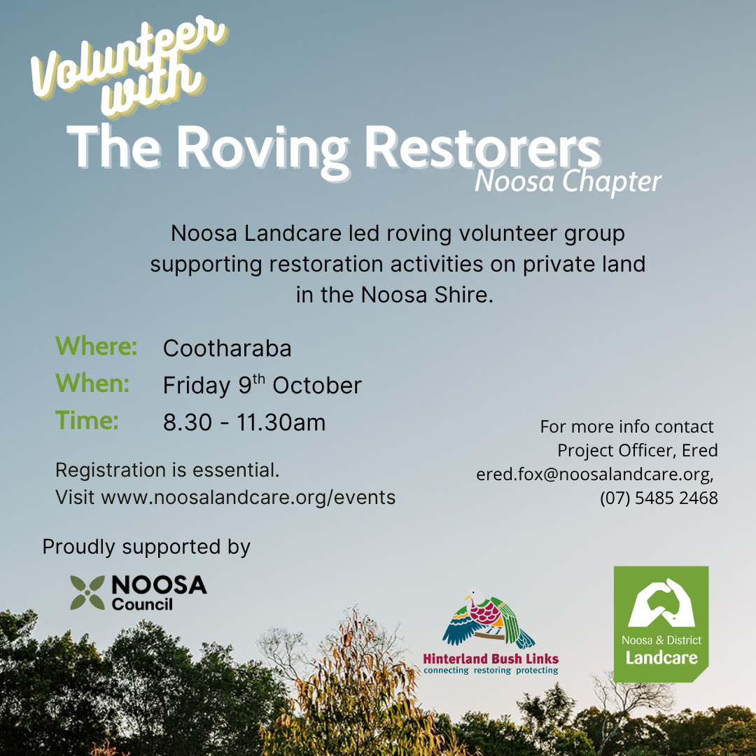Roving Restorers Working Bee at Cootharaba on Friday 9th October 2026. Starting at 8:30am, finishing at 11:30am.