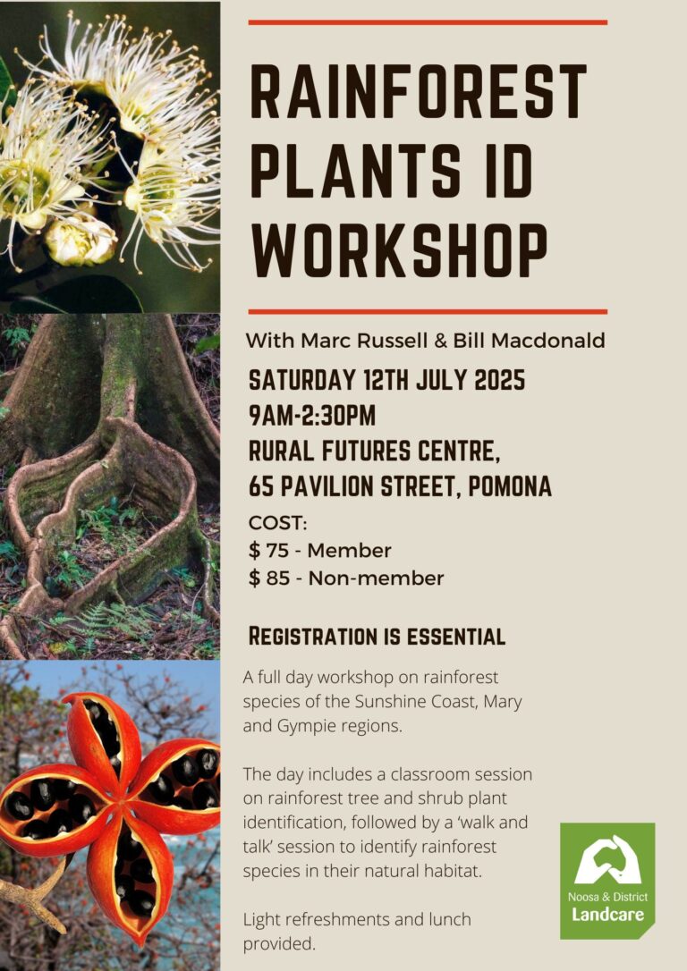 Rainforest Plants ID Workshop with Marc Russell and Bill Macdonald