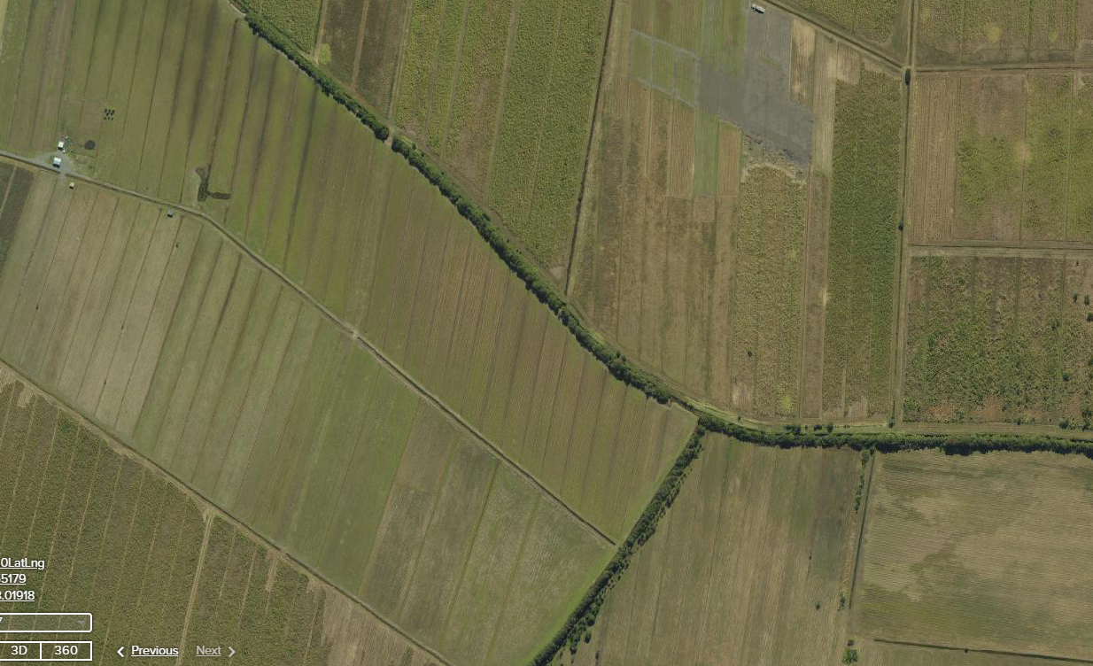 Wetland draining – Sugarcane – Valdora