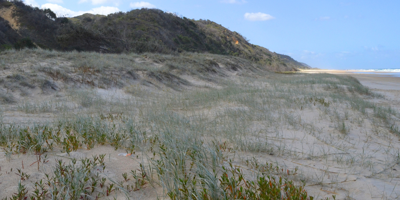 kgari-dune-rob-cameron-c-qld-gov